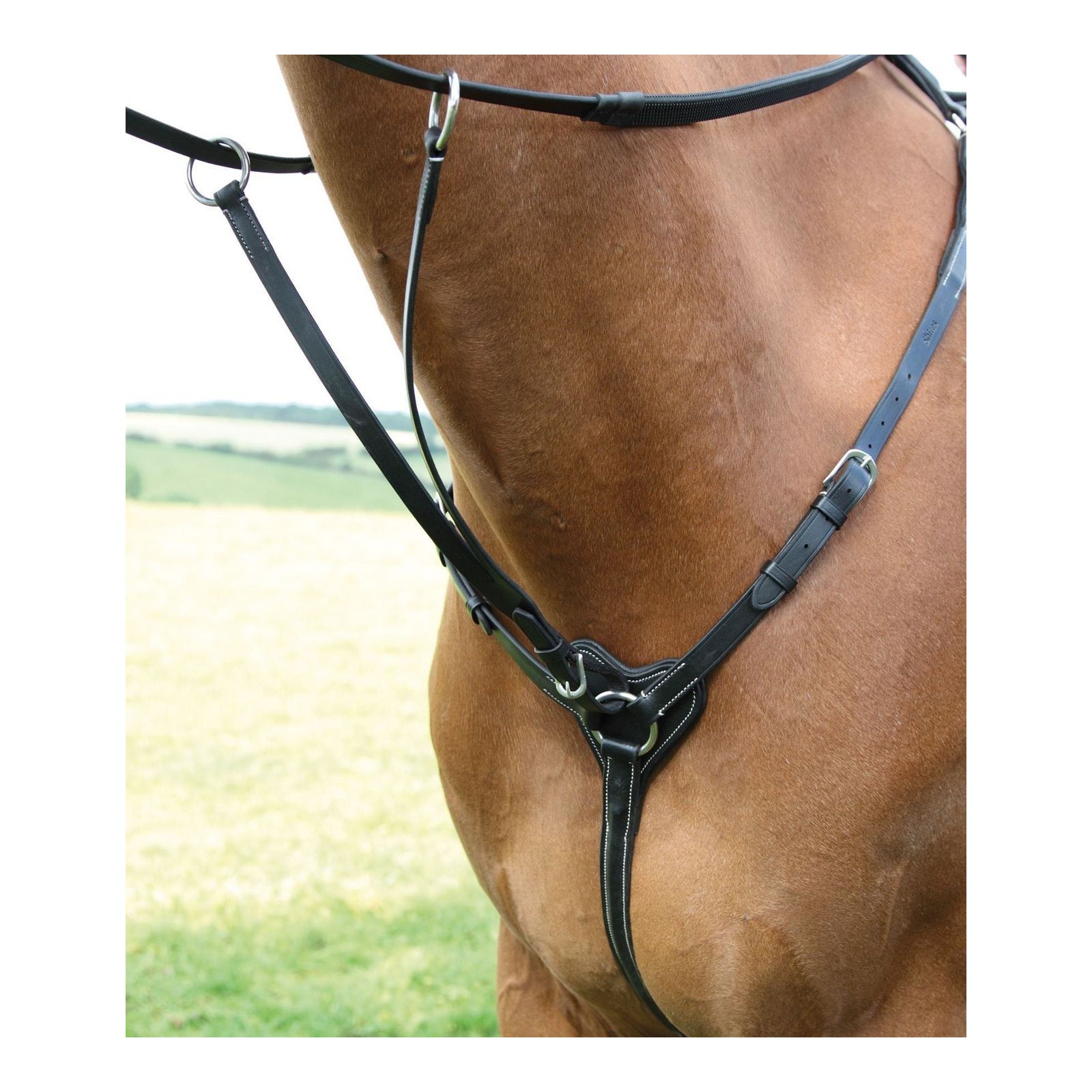 Shires Salisbury 3 Point Jumping Double Bed Black - Black